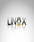 linux系统常见问题